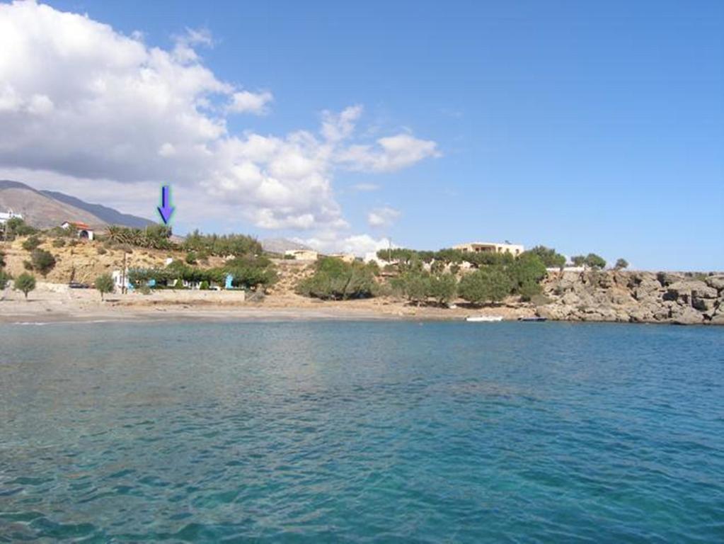 Zorbas Rooms Frangocastelo Номер фото